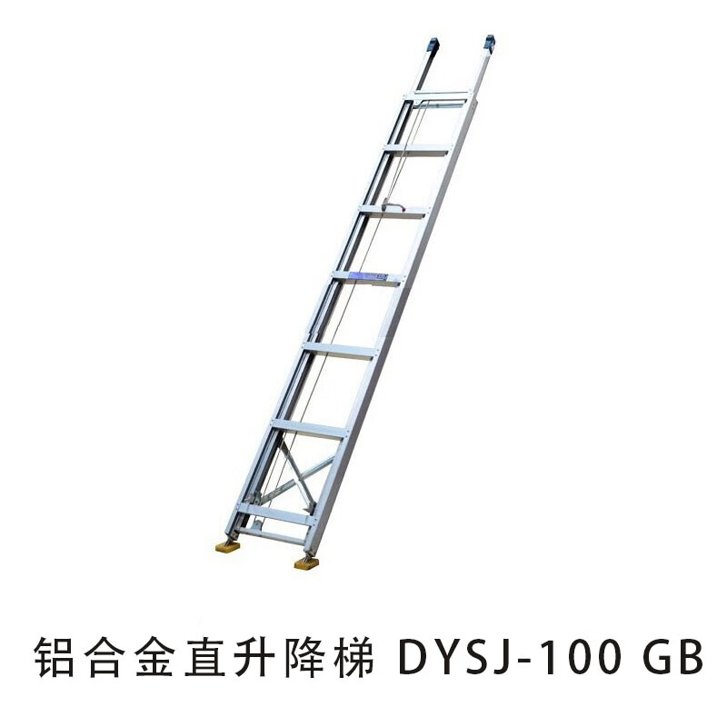 100.jpg